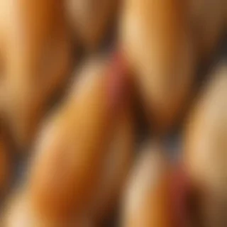 chicken png