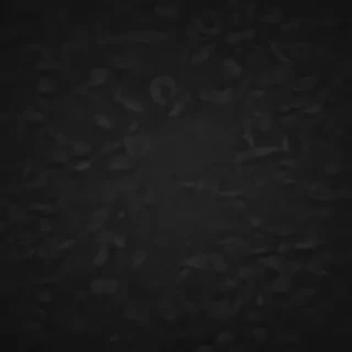 all black wallpaper for iphone