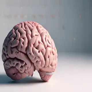 brain background