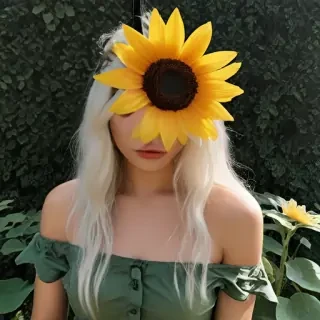 aesthetic sunflower