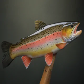 trout fish
