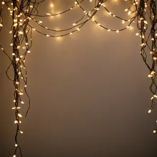 fairy lights png