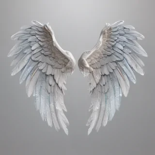 transparent angel wings png