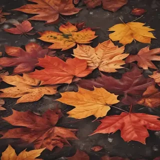 autumn iphone wallpaper