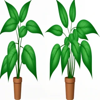 plant png clipart