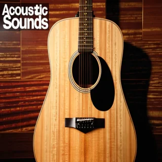acoustic sounds