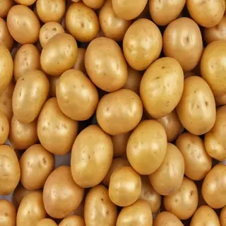 potato png