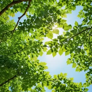 background green leaves