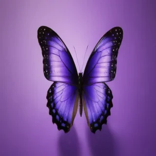 butterfly purple background