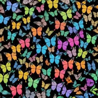 butterfly wallpaper for computer