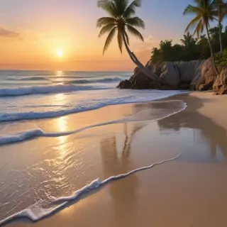 beach transparent