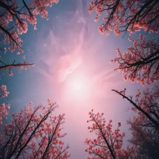 cute aesthetic backgrounds for iphone