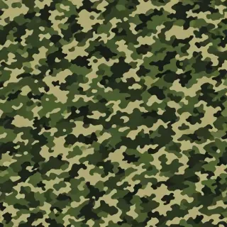 camo png