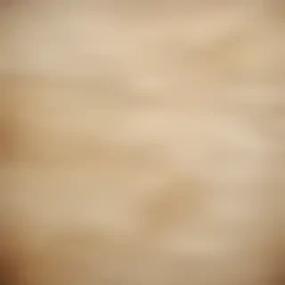 worn paper texture
