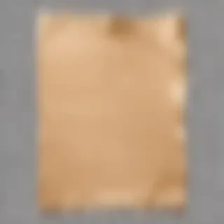 paper ripped png