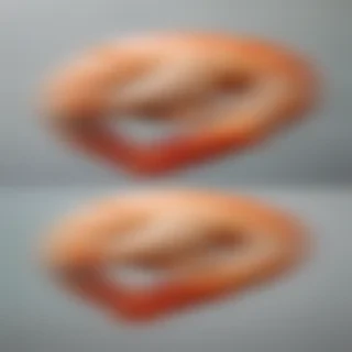 shrimp png