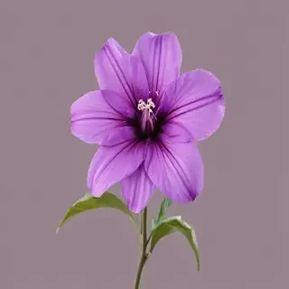 purple flower png