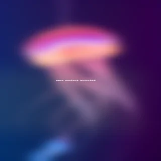 aesthetic jellyfish wallpaper