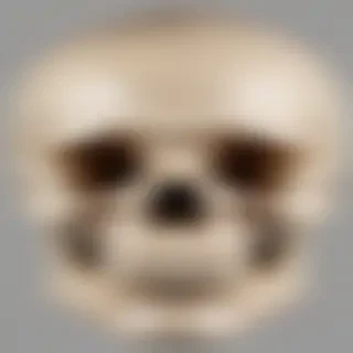 skull png