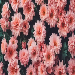 cute aesthetic wallpapers flowers