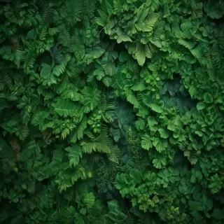green iphone background