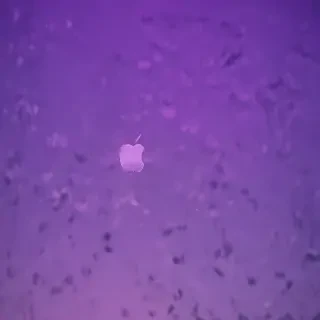 aesthetic wallpapers iphone purple