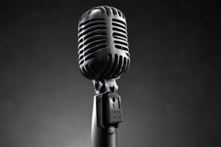 microphone png transparent