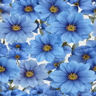 blue flowers transparent