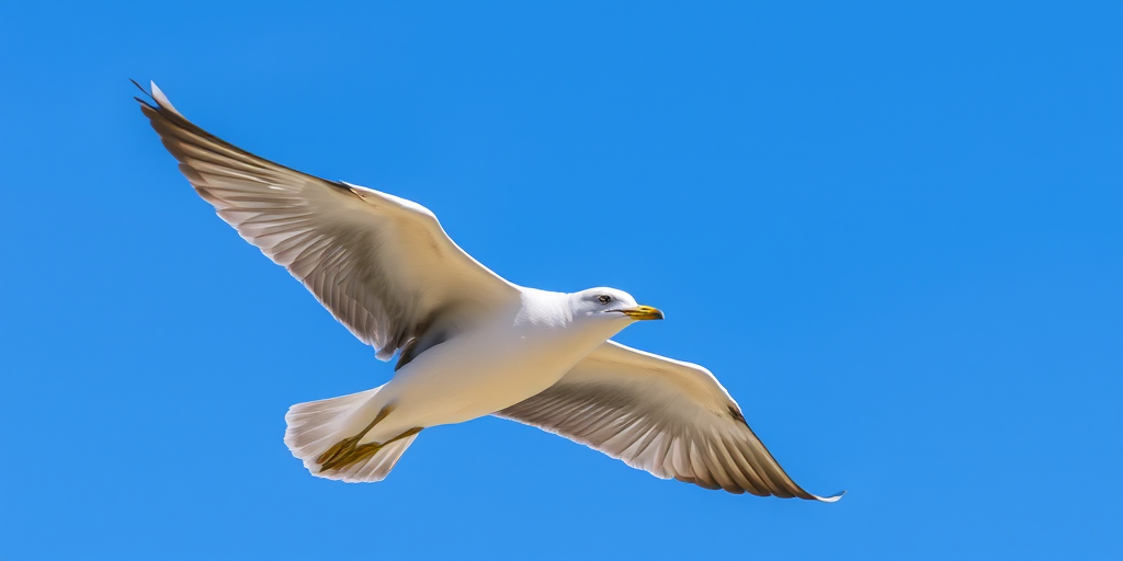A seagull in flight with wings spread, against a blue sky background, displaying a mixture of brown and gray feathers.
