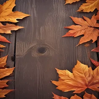 autumn background iphone