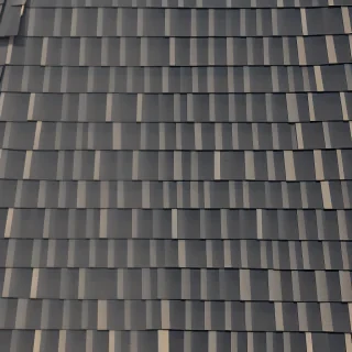 picture of shingles