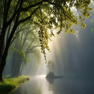 nature iphone wallpaper
