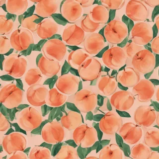peach background aesthetic