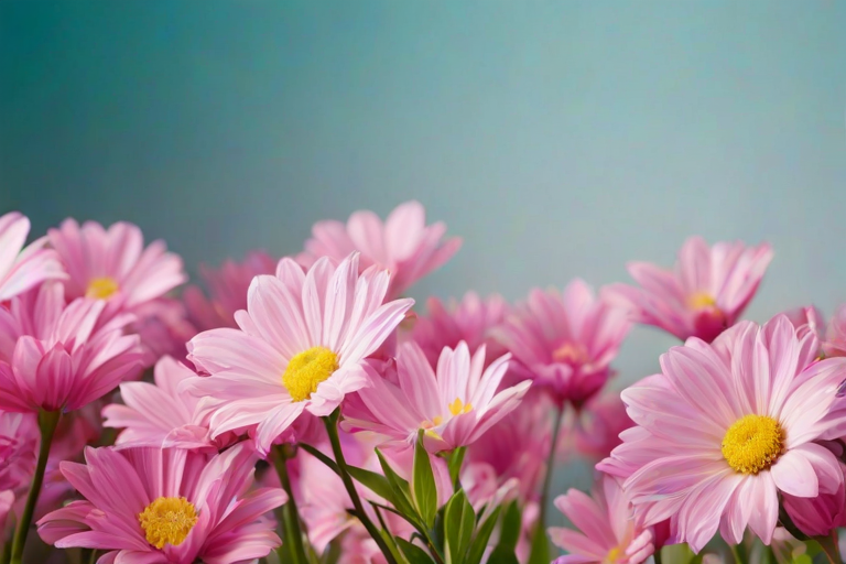 full screen flower wallpaper hd