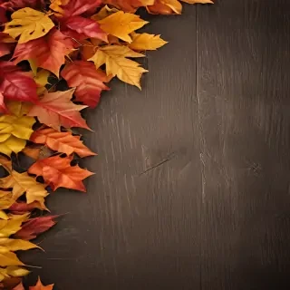 fall wallpaper
