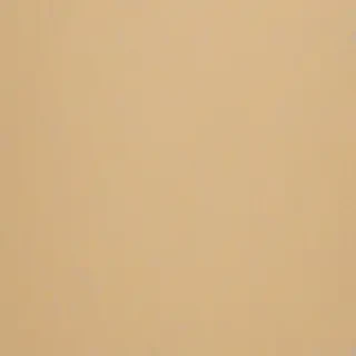 beige plain background