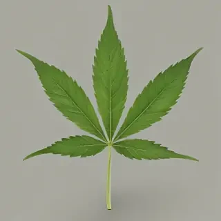 weed leaf png