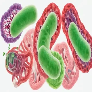 bacteria png