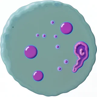 bacteria png