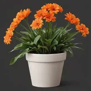 flower pot png