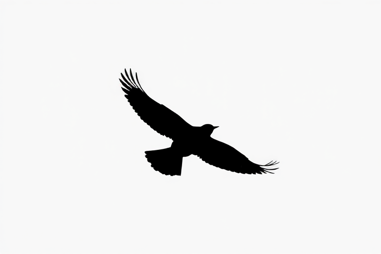 Create a high-resolution image of a minimalist black silhouette of a bird in flight against a white background, using a Canon EOS R5 with an 85mm f/1.2 lens, aperture set to f/2.8, ISO 200, and a shutter speed of 1/1000s, capturing a clean and sharp focus on the silhouette with a balanced exposure.