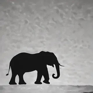 elephant silhouette