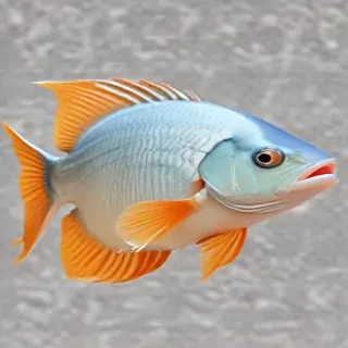 fish transparent background