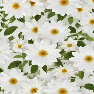 flower background white