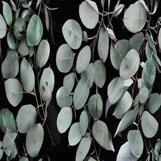 eucalyptus clipart black and white