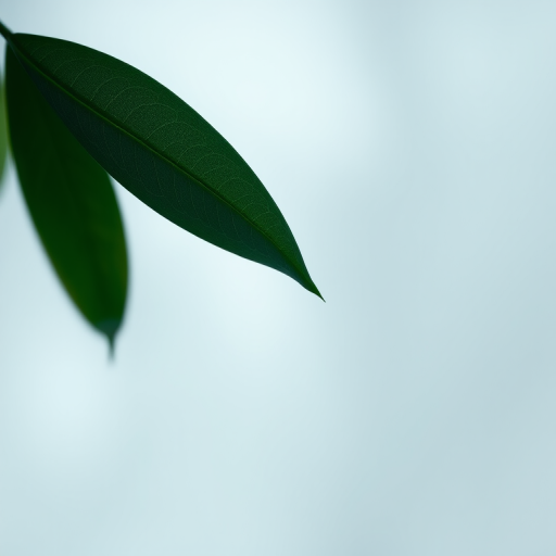 regenerate a minimalist illustration of a single dark green leaf with an abstract light blue and gray background, use a DSLR camera with a 50mm lens at f/2.8, ISO 100, and a shallow depth of field for enhanced detail and softness in the background.