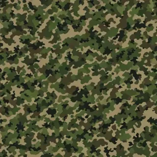 camo png