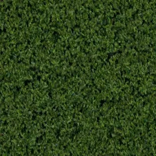 christmas trees png