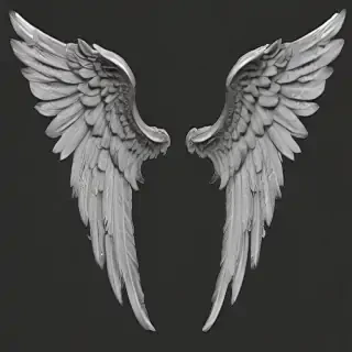 angel wings png transparent