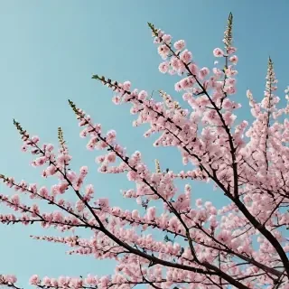 spring desktop wallpaper aesthetic